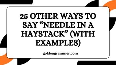 Other Ways to Say “Needle in a Haystack”